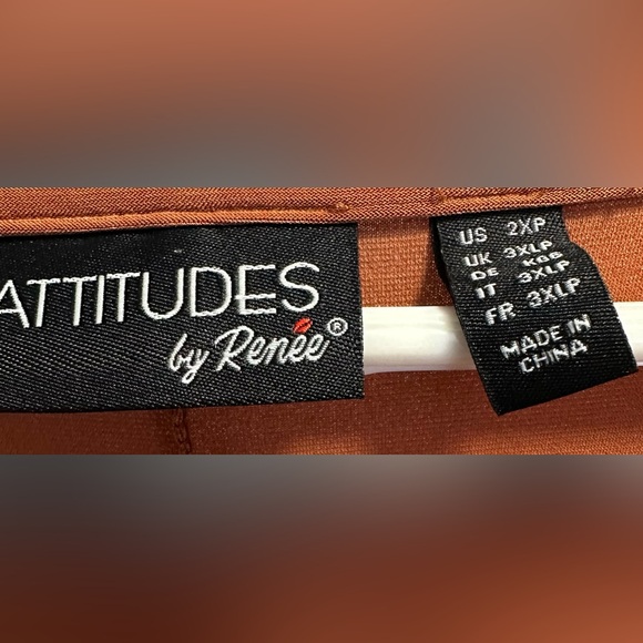 ATTITUDES by Renee size 2XP, rust, 3/4 length sleeved, round neckline dress. - Picture 5 of 6